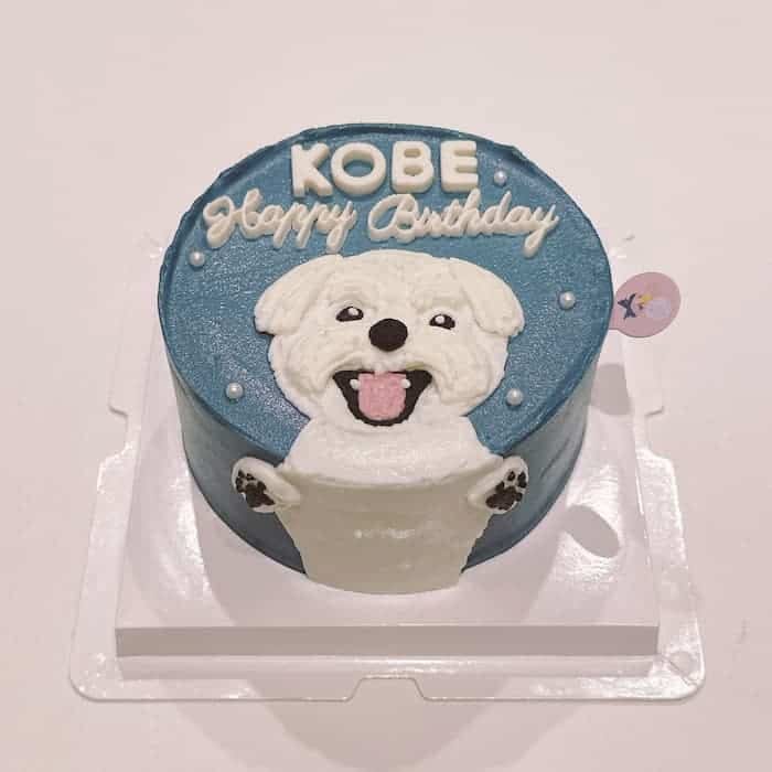 Nella Kharisma avatar